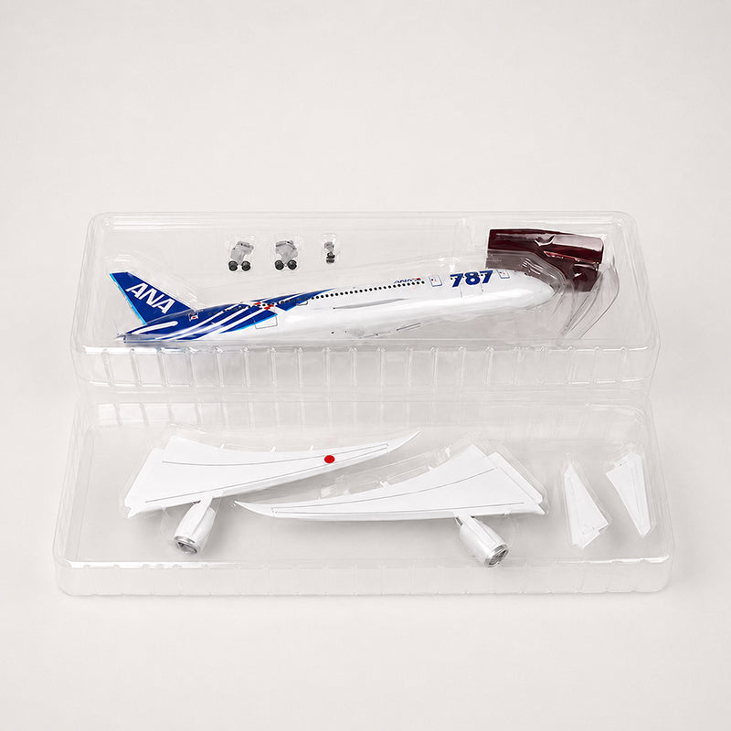 All Nippon Airways Boeing 787 1:130 Scale Model — view 15